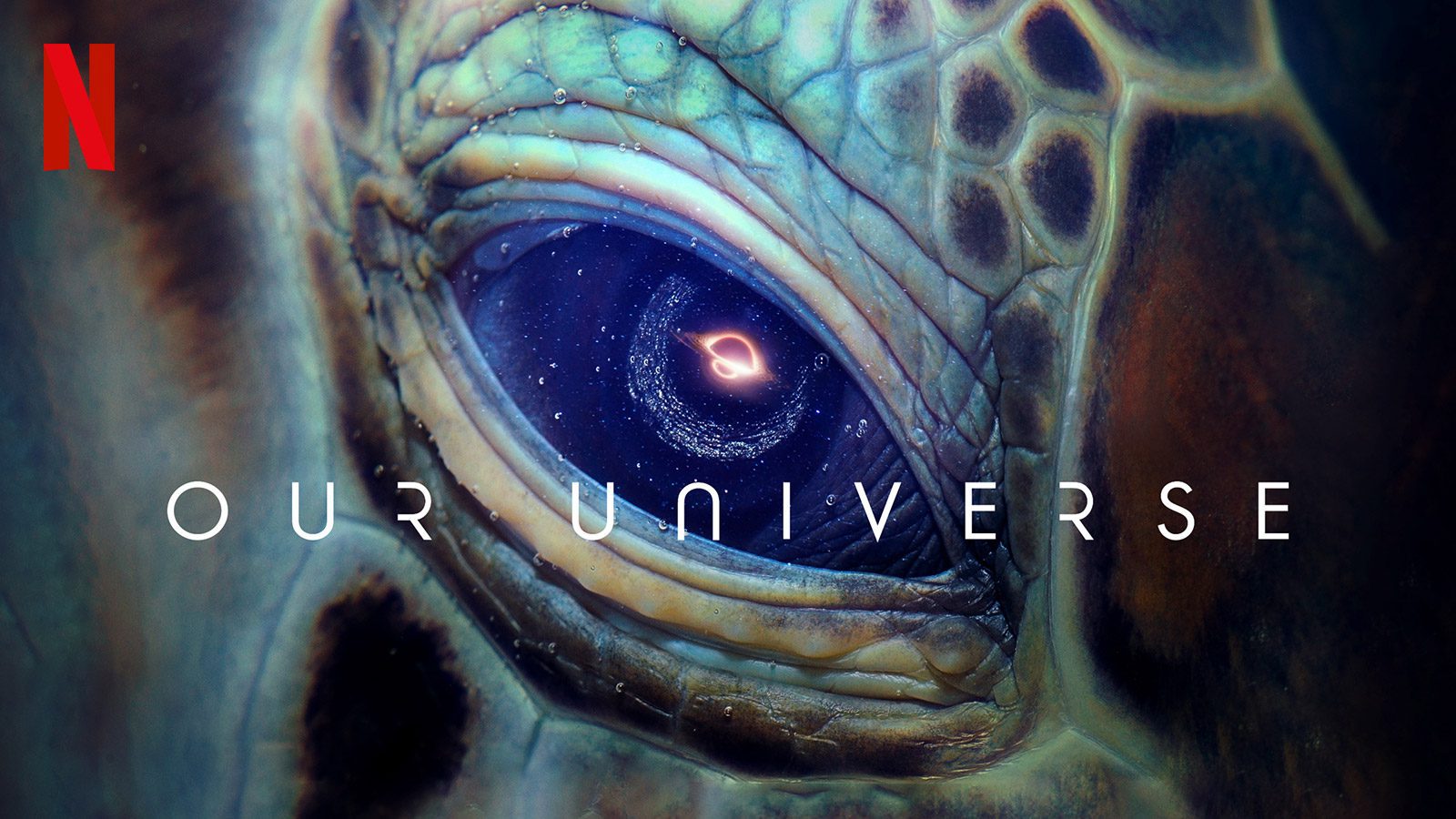 ouruniversesdp na 11 en