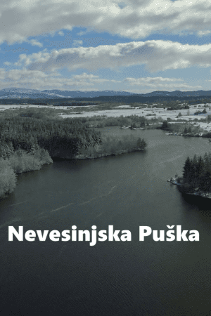 Nevesinjska Puska